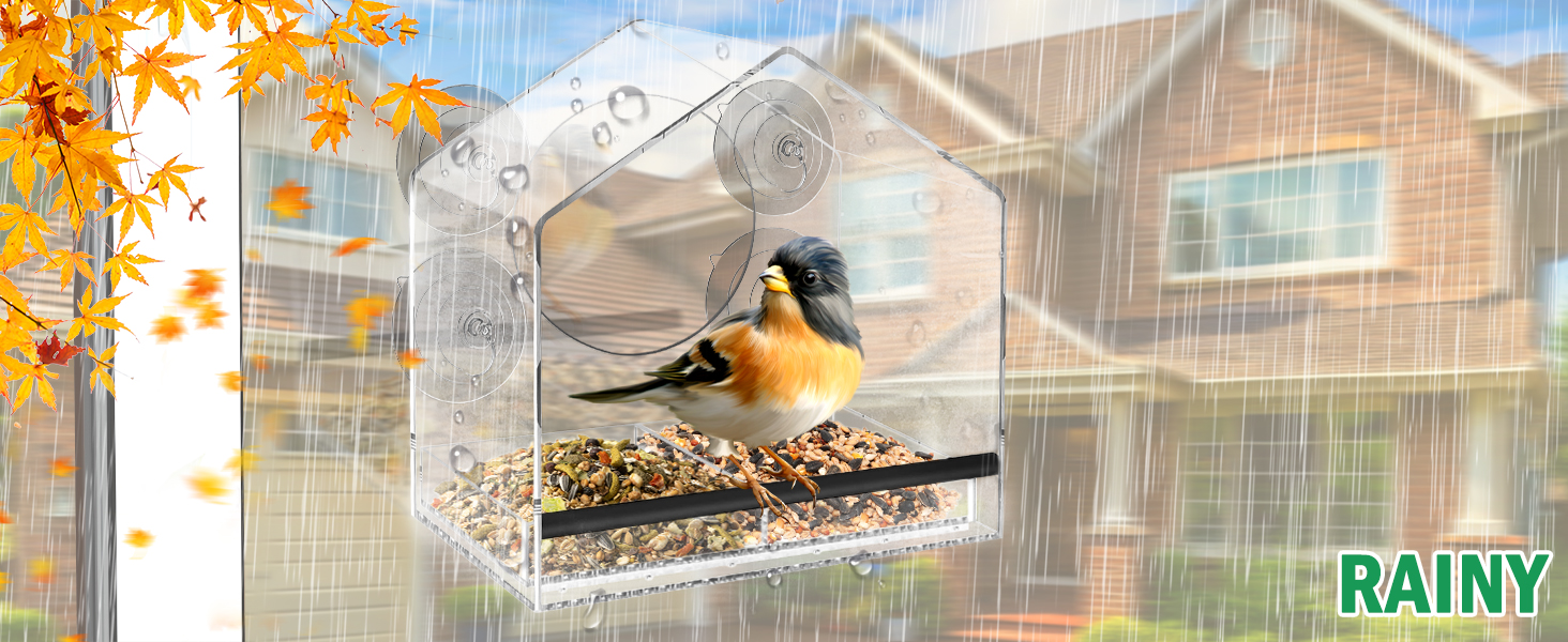 window bird feeder with strong suction cups