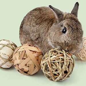Braunes Kaninchen, Das Neben Drei Geflabenen Ballspieleugen aus Natürschen Materialien Wie Korbgeflecht Ader Rattan Sitzan