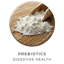Prebiotics digestive health probiotics