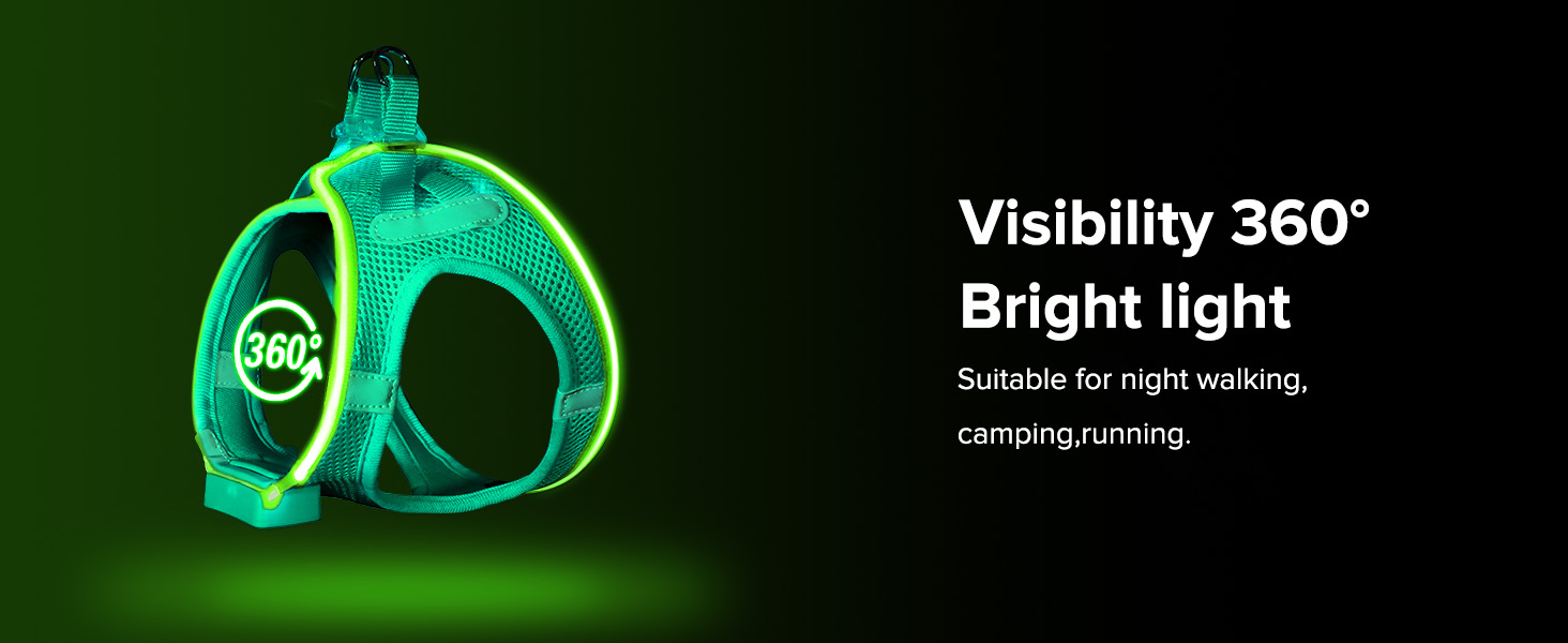 safety harness for small dog