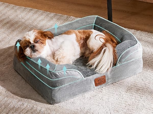 dog bed7