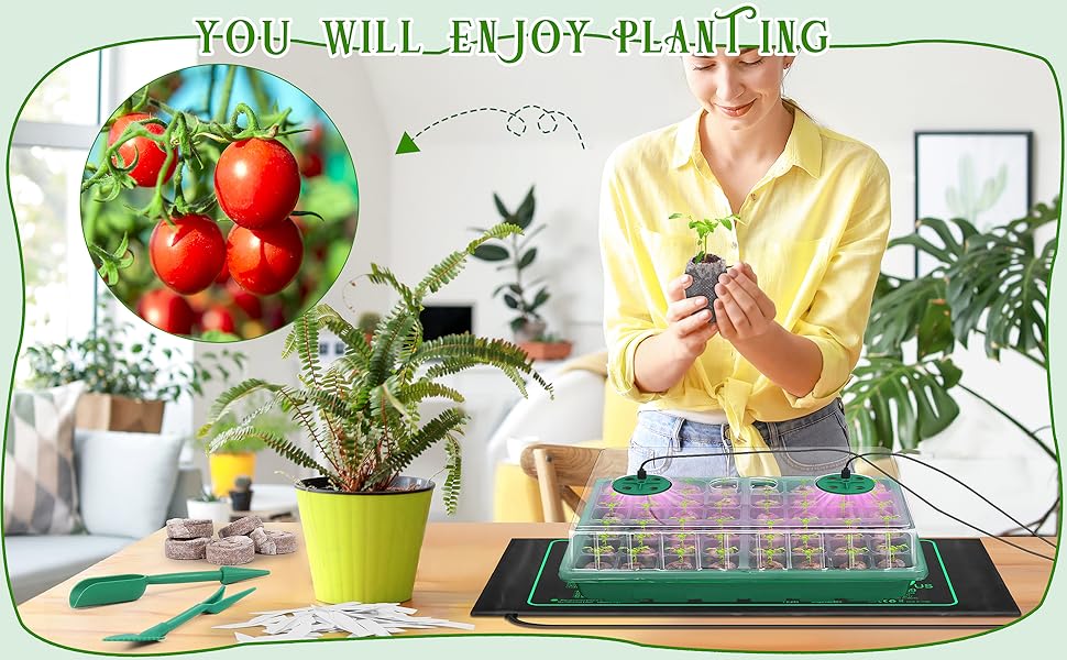 seed starter tray
