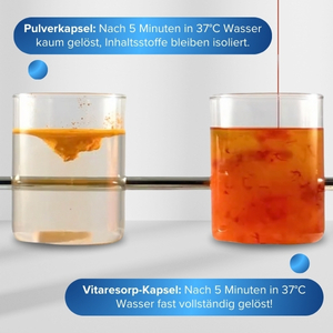 Pulverkapseln im vergleich mit der Vitaresorp Technologie 590% höhere Bioverfügbarkeit