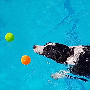 mentally stimulating toys dogs,interactive dog ball large small medium,floating dog ball