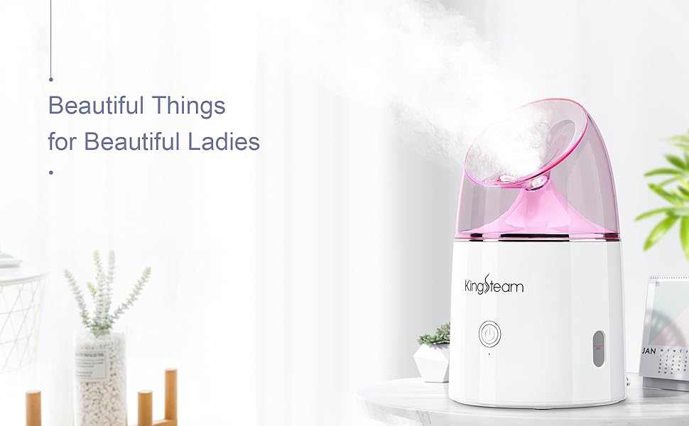 Kingsteam lonic Face Steamer, Professional Ozone Facial Steamer for