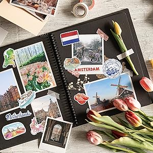 Amazon.com: Navy Peony Artistic Netherlands Travel Stickers
