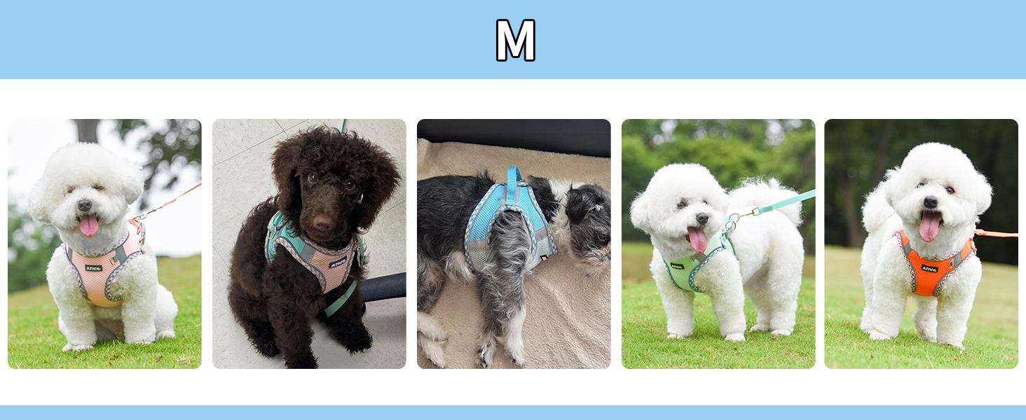 AIITLE Teacup Puppy Harness with Leash - Adjustable Soft Vest with Magic Velcro