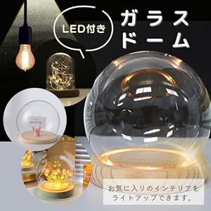 Amazon.co.jp: starink 透明ガラスドーム LED付き コレクション