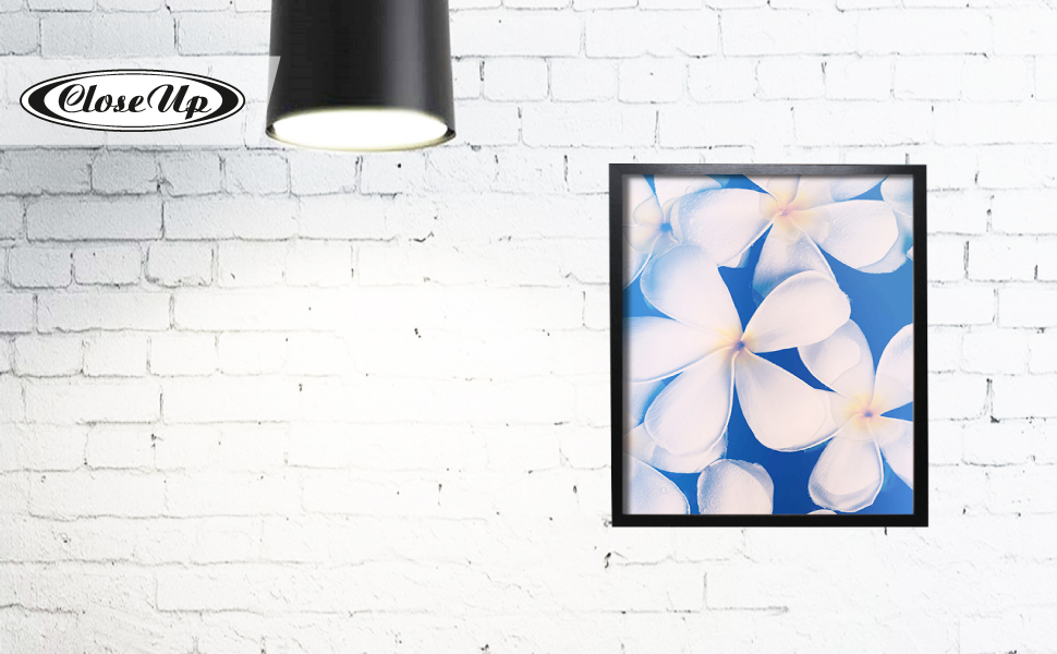 Close Up Poster Frame 30 x 40 cm Black Premium MDF Frame Plexiglass