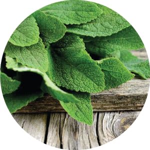 Small manufacture image 8