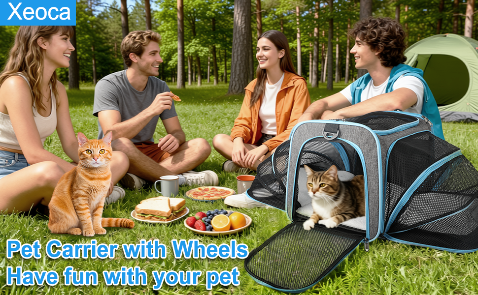 Pet Carrier with Wheels Up to 33 lbs