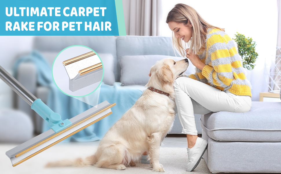 Pet Hair Remover 3 Pack Telescopic 40 inches Handle Pet