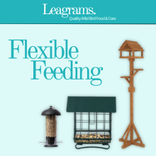 Small manufacture image 6