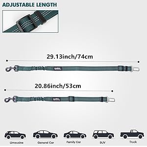 dog seat belt for car