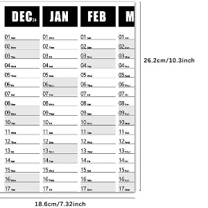 Amazon.com: 2025 Wall Calendars 365 Day Poster Calendar