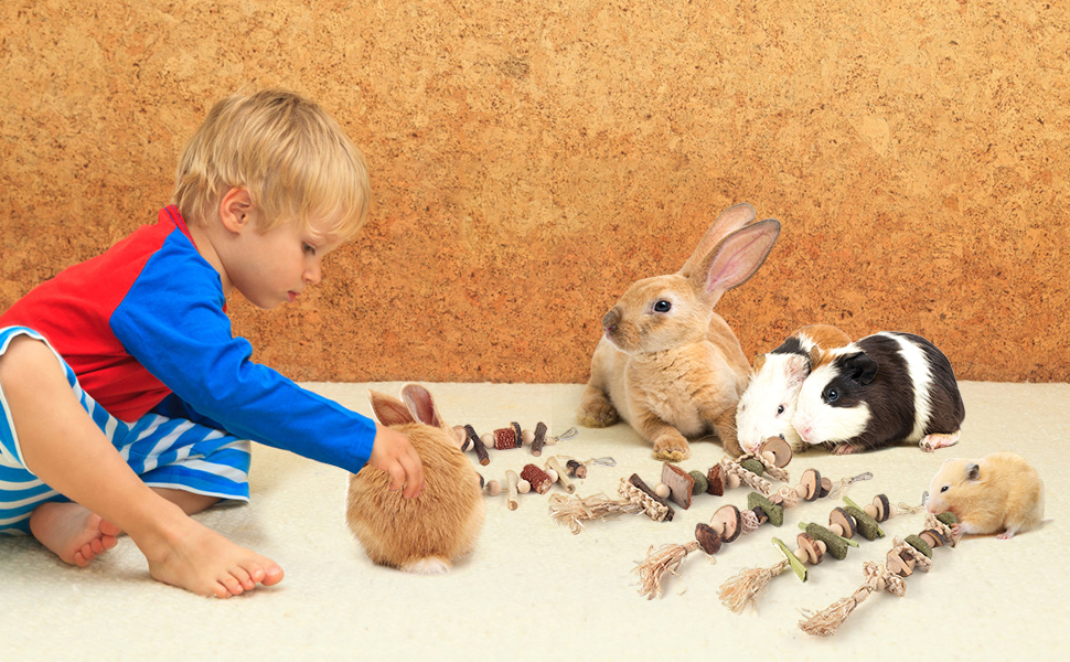Bunny Hamster Rabbit Chew Toys
