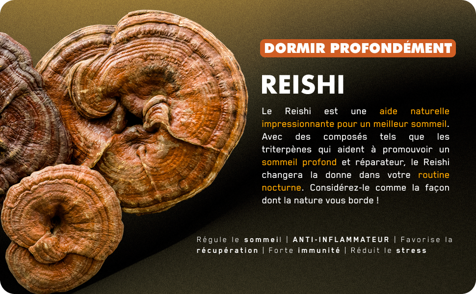 reishi