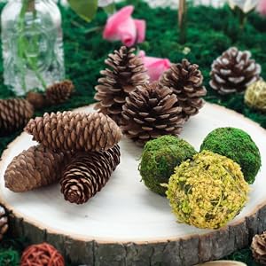 Small manufacture image 8