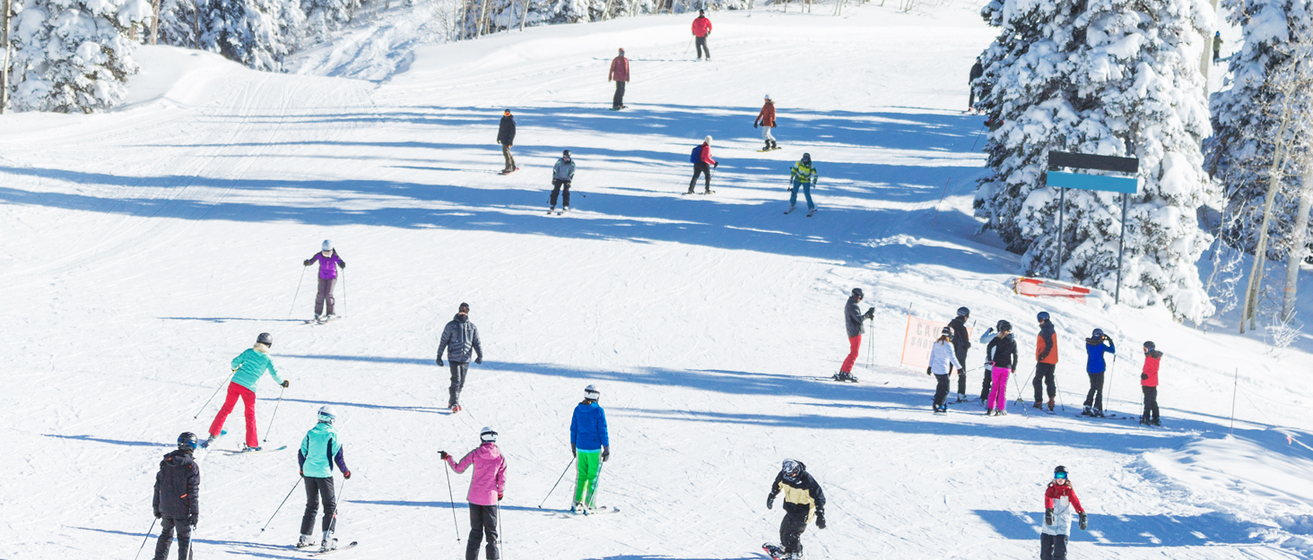 Whale Ski Goggles Snowboarding Goggles OTG Snow Goggles