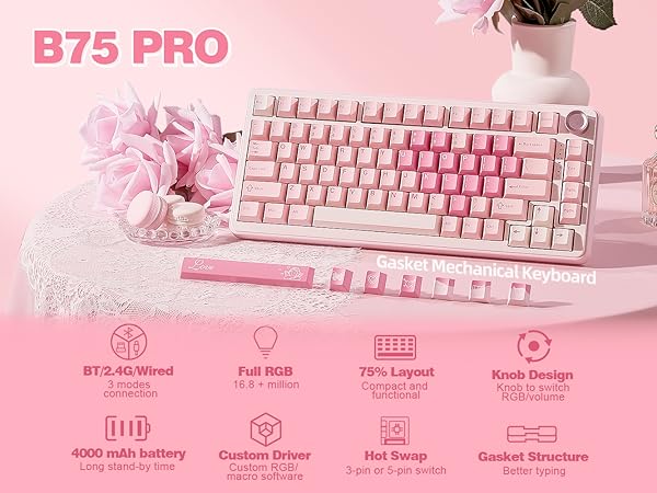 b75 pro