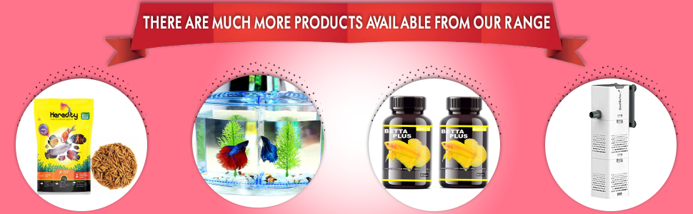 Large manufacture image 6