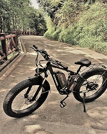 ebike