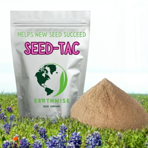 Amazon.com : Thyme for a Change – Wild Creeping Thyme Seeds