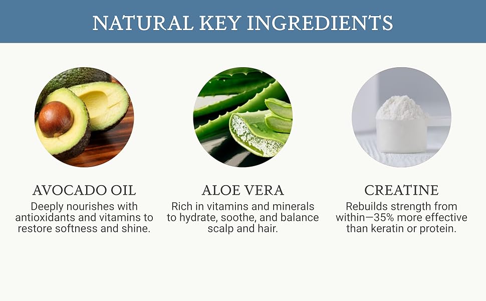 Loma Hair Care Moisturizing Shampoo & Treatment Duo 3