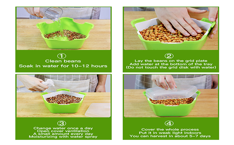Seed Sprouter Tray with Cover