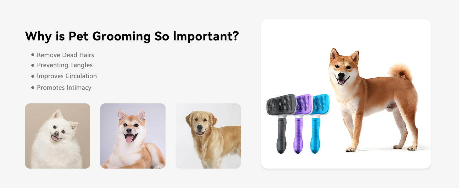 Cat Brush Dog Brush, Dog Brushes for Grooming, Cat Brushes for Long or