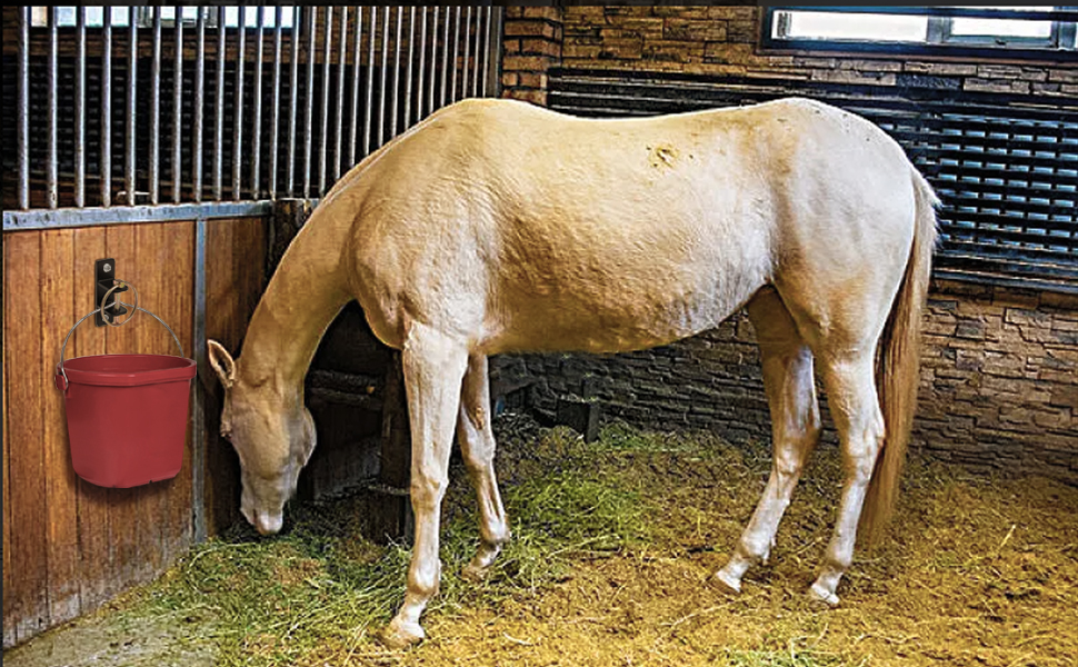 4 wall-mounted multi-functional hook with quick-lock pins