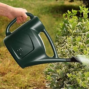 watering can 