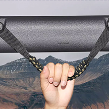 bronco grab handles