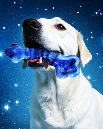 dog toys for aggressive chewers