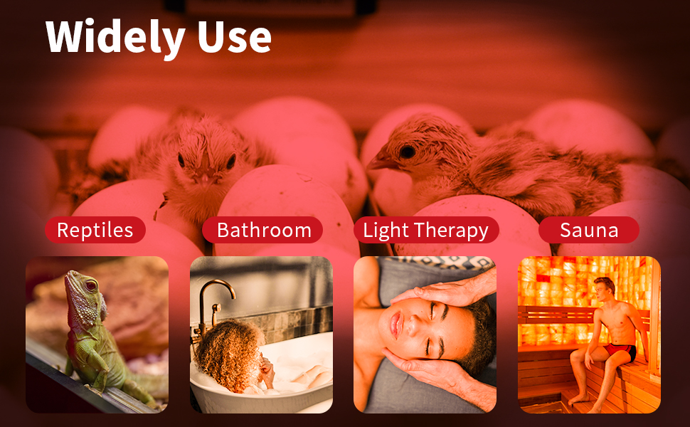 Jugbuy 250 Watt Red Heat Lamp Bulbs, Chicken Infrared Incandescent