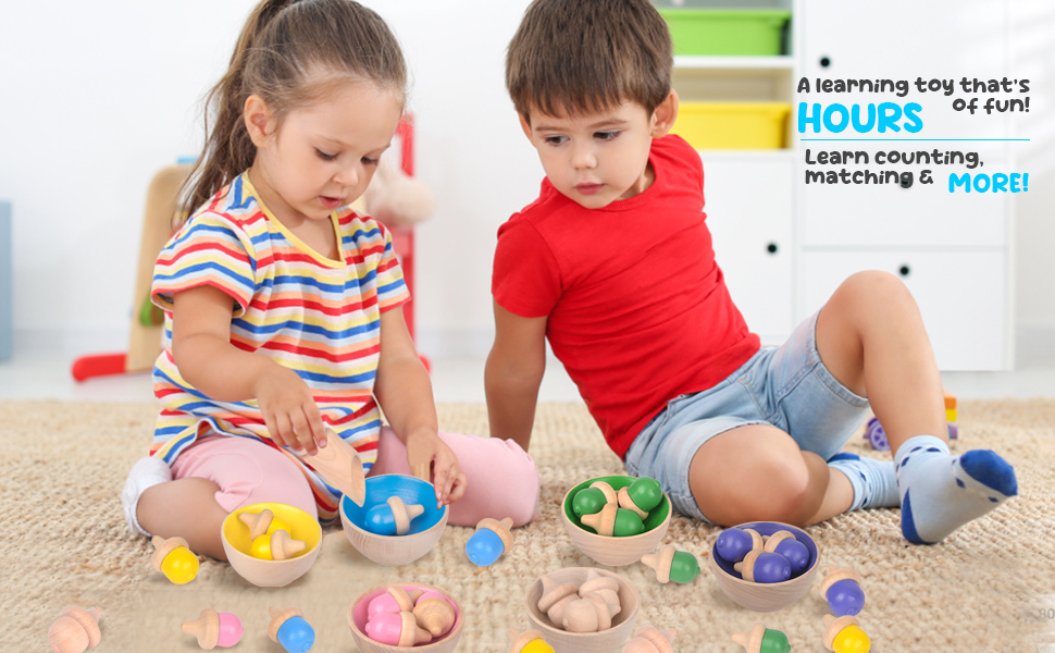 Montessori Wooden Color Sorting Toys Sensory Toys