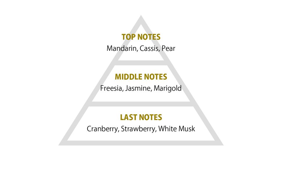 Amazon | primaniacs（プリマニアックス） 東方Project