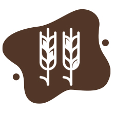 protein, protein oats, bagrry's, whey protein