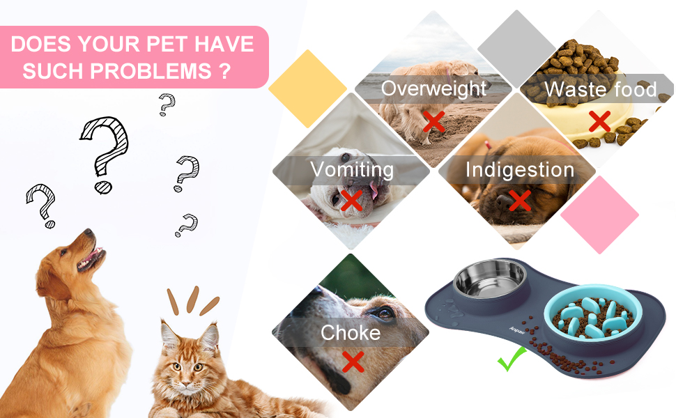 Slow Feeder Bowl-002