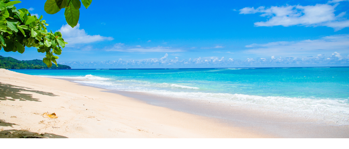 pristine caribbean shoreline with white sand and blue water at the beach