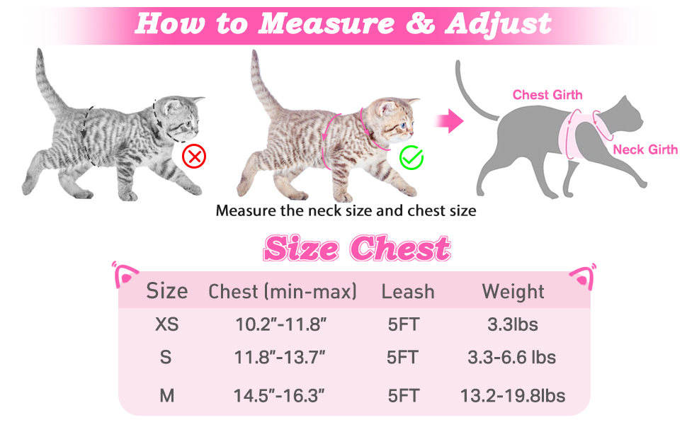 cat harness and leash size chart
