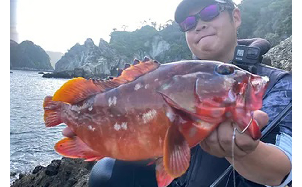 トランセンデンス ガルッパ 86B+ Galupa86B+｜ガルッパ86B+ | TRANSCENDENCE