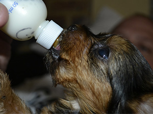 Small manufacture image 10