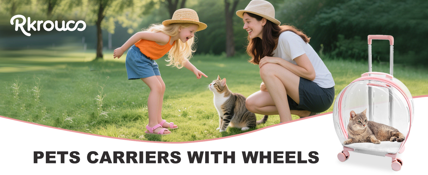 Transparent-Carrier-for-Pets