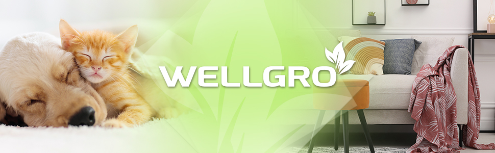 Header_Rouleau anti-peluches