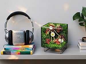 6 year anniversary gifts for her; next day delivery birthday gifts; desk accessories for women