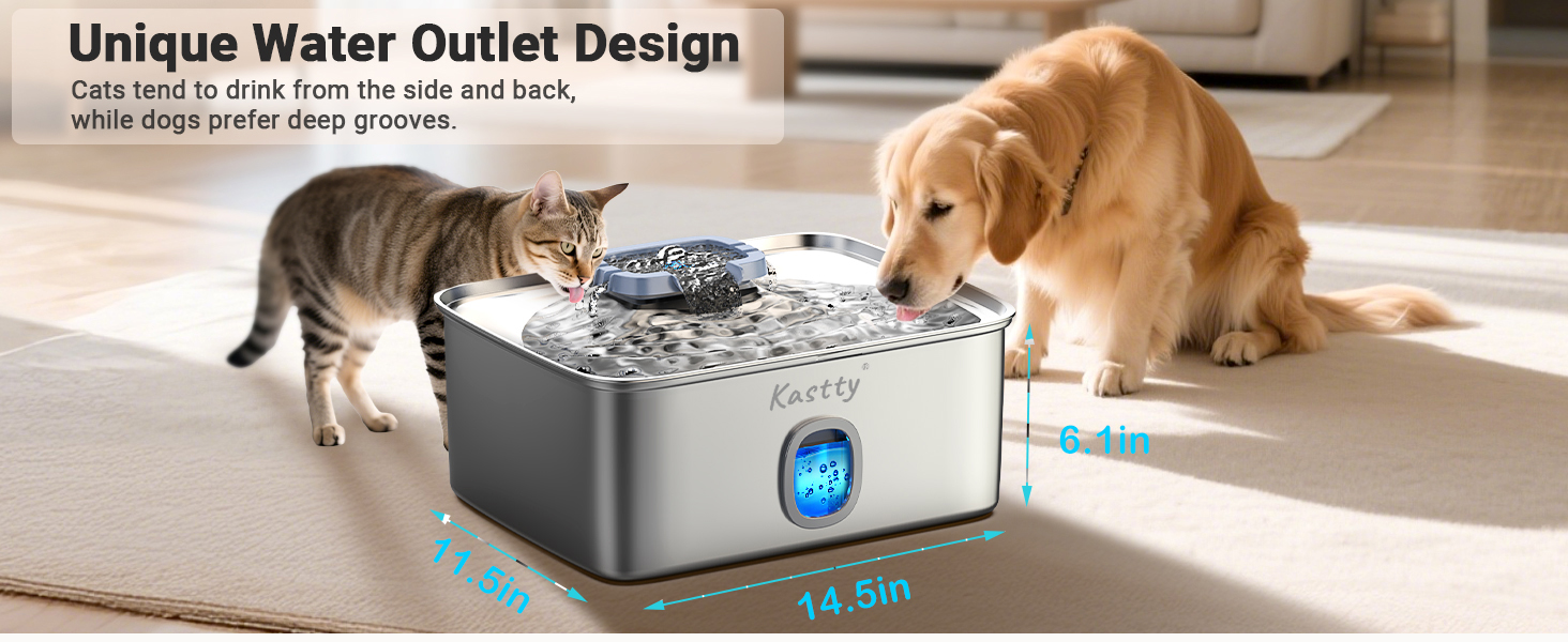 pet fountain