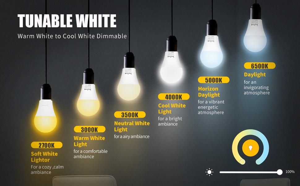 dimmable light bulb