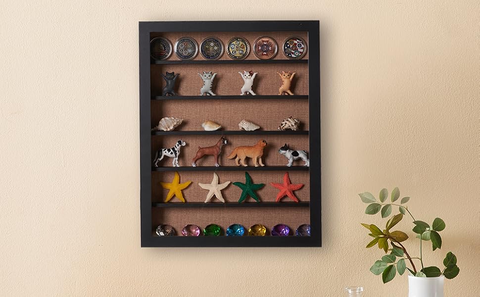 16x20 Shadow Box with Shelves and Door, Large Shadow Box