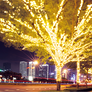 Small manufacture image 4